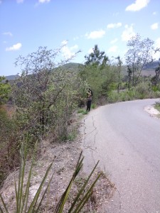 tikungan di bahu jalan retak, mudah longsor